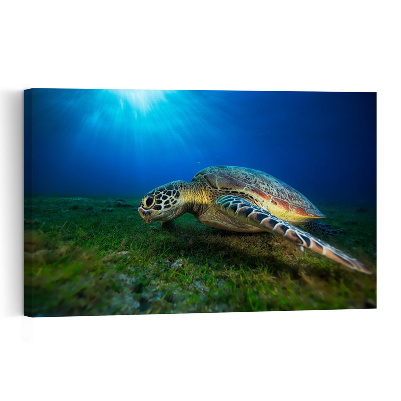 Sea Turtle Sun Rays Peaceful Serene Vibrant Turtle Nature Ocean Wall Art Print 1 Piece Wrapped Canvas Wall Art