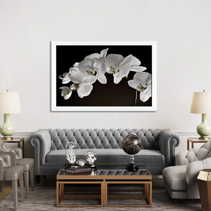 Orchids - Floater Frame Print on Canvas, 66.04 cm H x 45.72 cm W, White