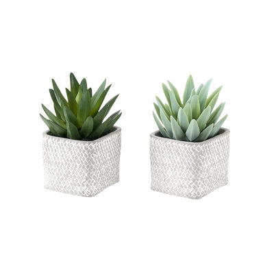 Set of 2 Artificial Succulent Plants, 8 Inch Tall Plastic Faux Greenery for Tabletop and Shelf Decor, Grey Pot