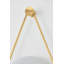 Blaina Wall Sconce in Aged Brass