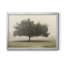 «Trees In The Fog II», reproduction encadrée de qualité supérieure - prête à être accrochée-276530695-276530696-276558443