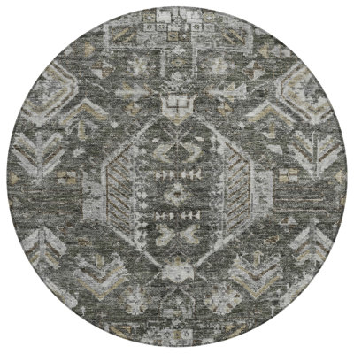 Machine Washable Indoor/Outdoor Earleville ACN2356 Traditional Rug
