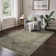 Oriental Machine Washable Sage/Gray Area Rug with Non-Slip Backing