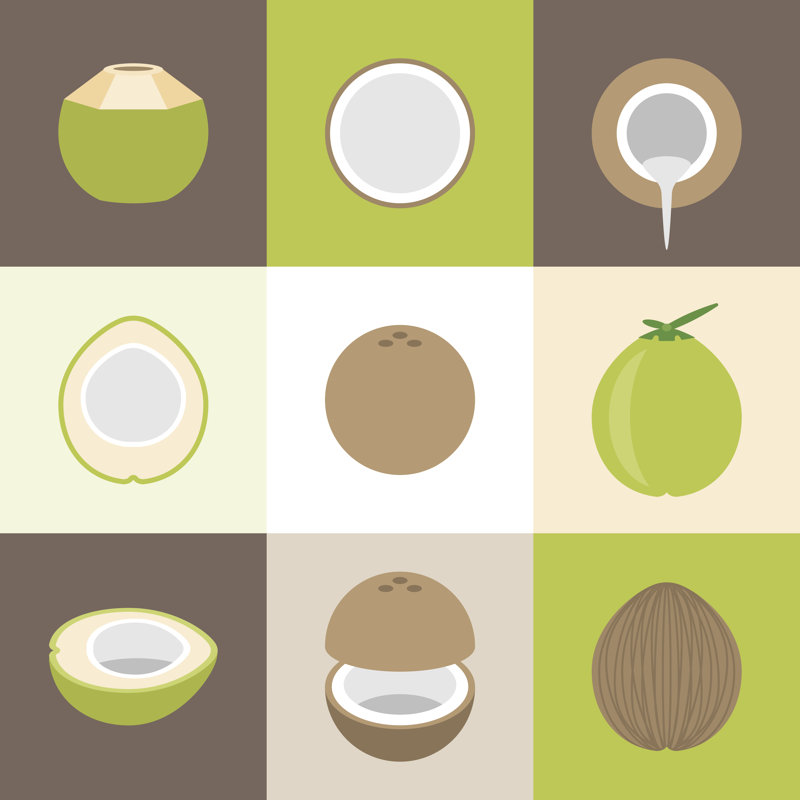 Coconut Icons Set by Lukpedclub - Wrapped Canvas Print, 30cm H x 30cm W