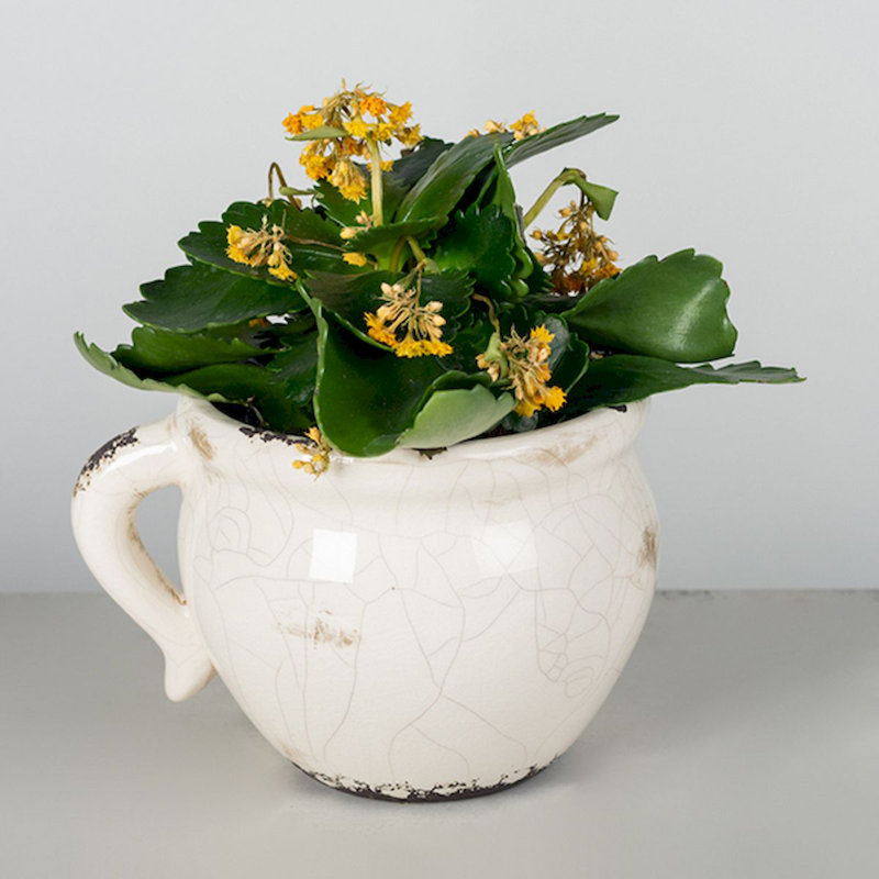 Cache-pot en céramique Lindajo, H 5,5 po x l 6,75 po x P 4,75 po