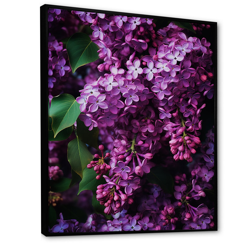 Lilas Minimalisme Dream II, reproduction d'art sur toile, Cadre flottant noir, H 40 po x l 30 po x P 1,5 po