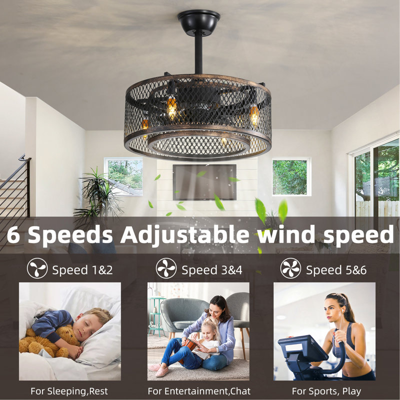 20 Inch Caged Ceiling Fan With Lights (Note:No Warranty On Bulbs)