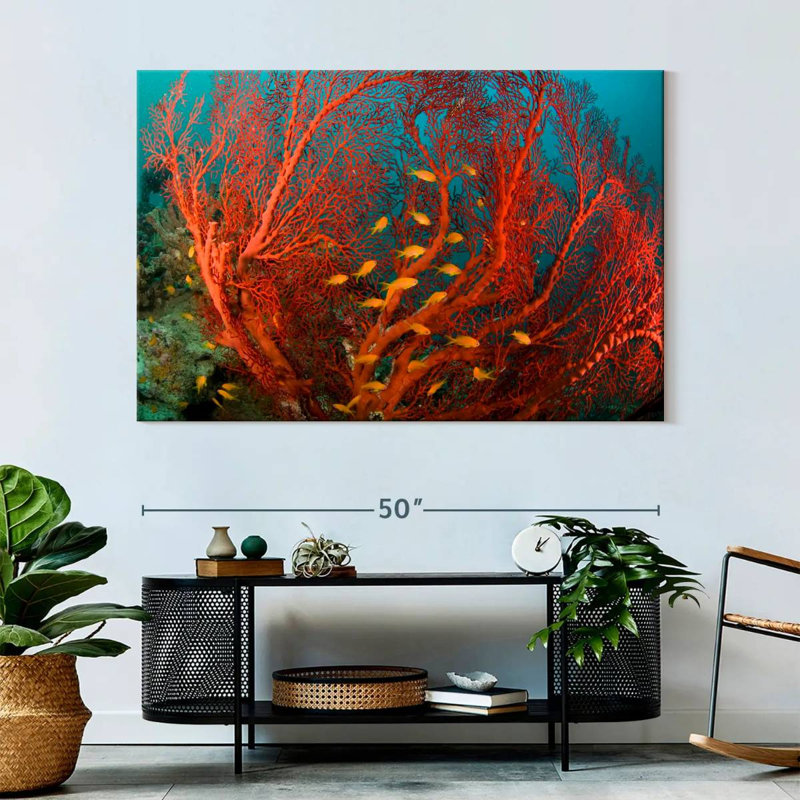 Fire Coral, 34" H x 51" W