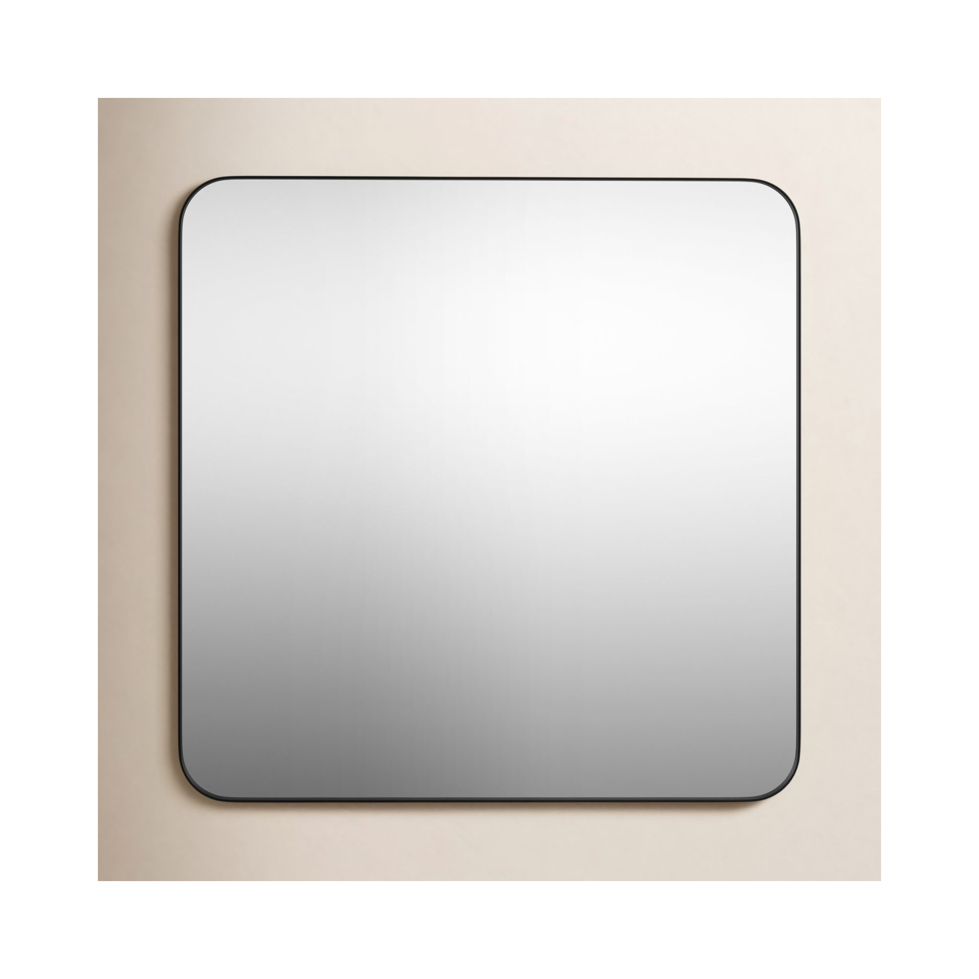 Eaton Modern & Contemporary Accent Mirror, 36" H x 24" W, Matte Black