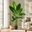 Bird of Paradise, ensemble de 2 fausses feuilles de bananier pour décoration intérieure et extérieure