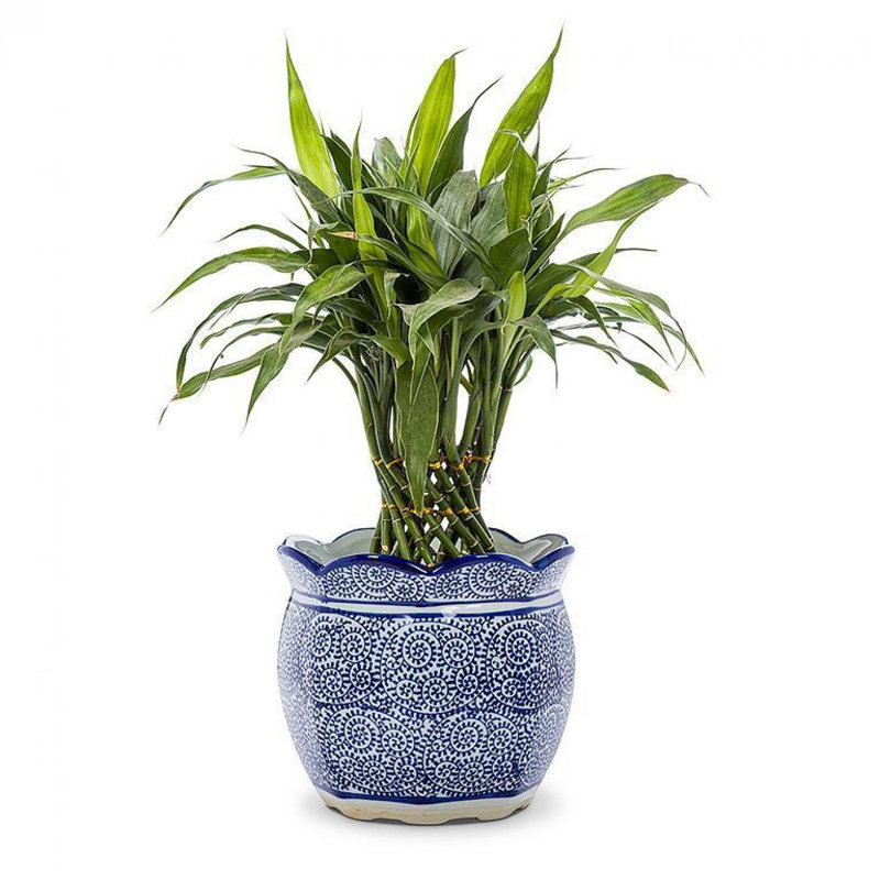 Scallop Edge Vase