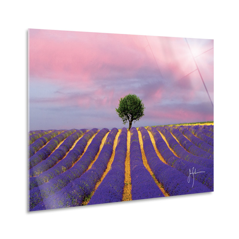 Lavender Field by Jim Zuckerman - No Frame Print on Glass, 65cm H x 95cm W
