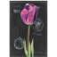 «Chalkboard Flower IV», reproduction-1335320455-1335313848