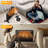 1500 W Electric Ceramic Heater In Black With Tip-over Protection, Remote Control