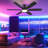 55" Modern 6-blade Ceiling Fans With RGB Multicolor Nightlight and Remote Control-706936519