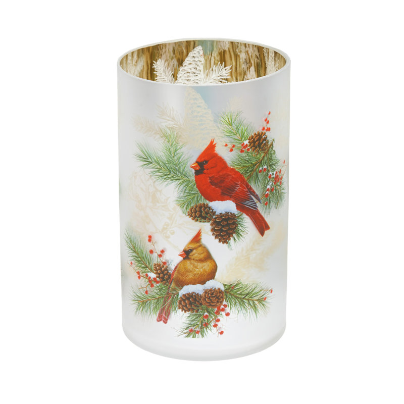 Grand contenant en verre Cardinals