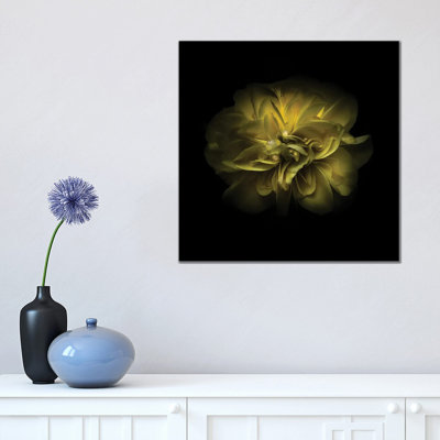 Yellow Camelia by Brian Carson - Wrapped Canvas Print