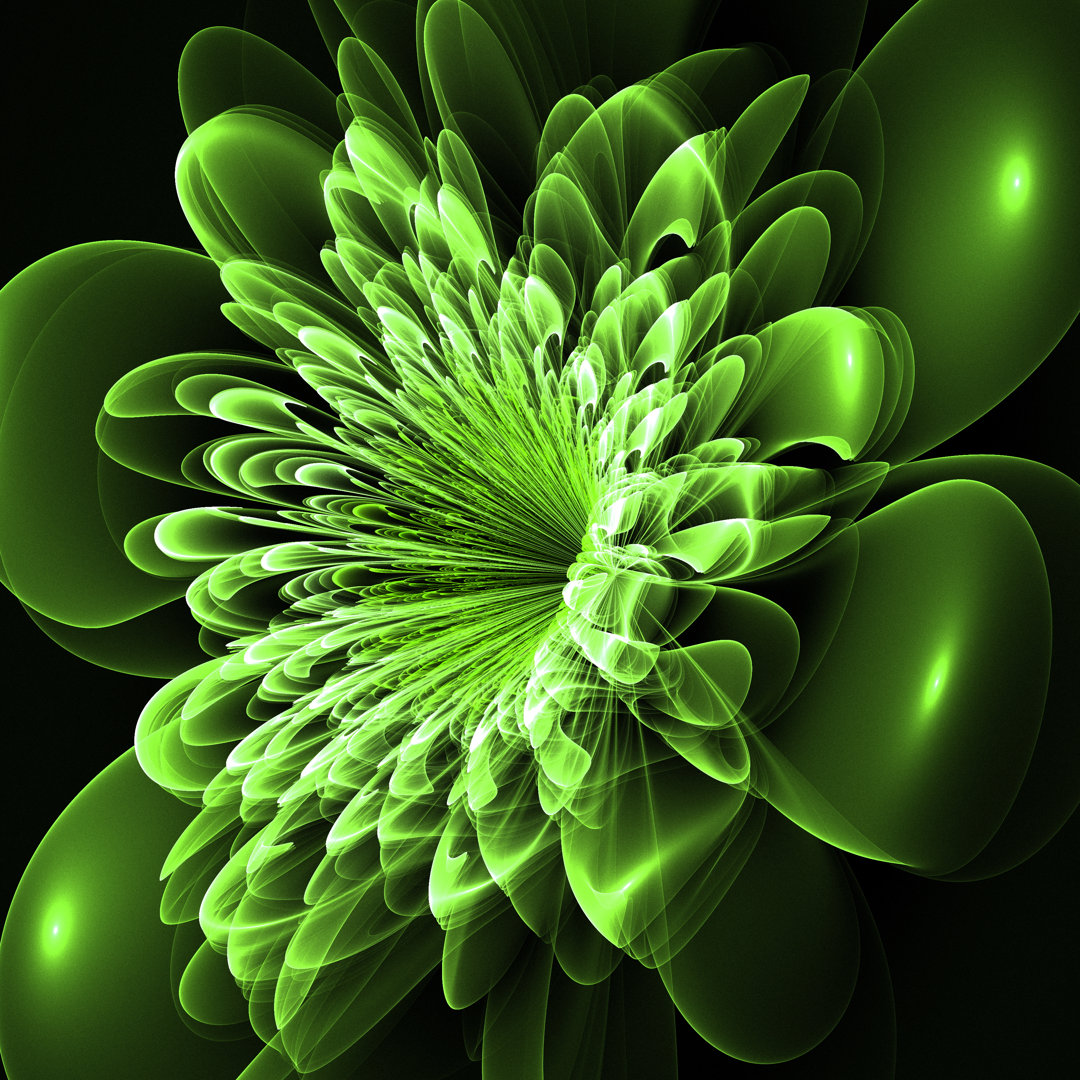 Beautiful Green Flower von Velirina - Grafik auf Leinwand