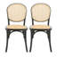 Chaises de salle à manger [ensemble de 2 pièces]-336758669-336758707
