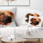 Coussin Brown