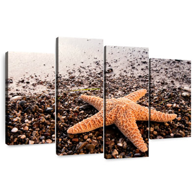 Brampt Orange Starfish