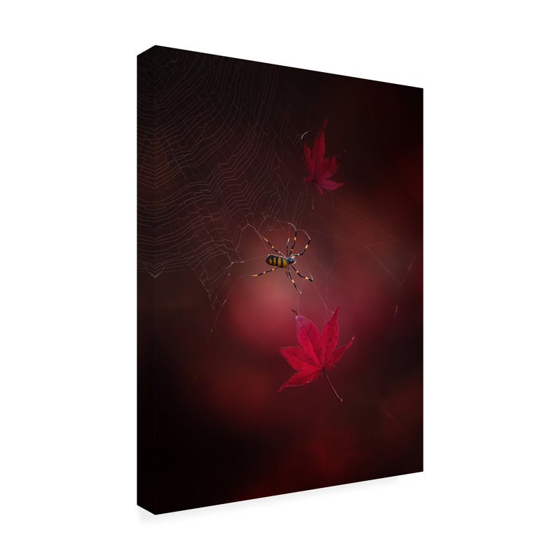 Art sur toile rouge, H 14 po x l 19 po