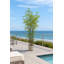 Arbre de bambou artificiel 72 po en doublure de pot