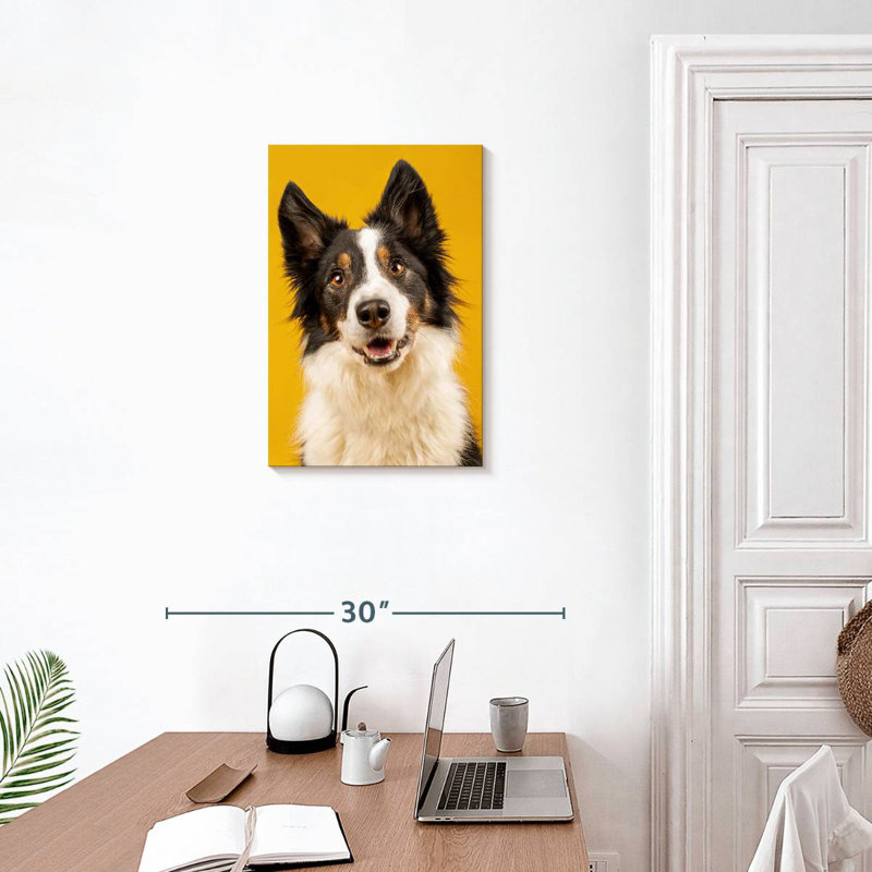Border collie adorable Brampt, H 24 po x l 16 po