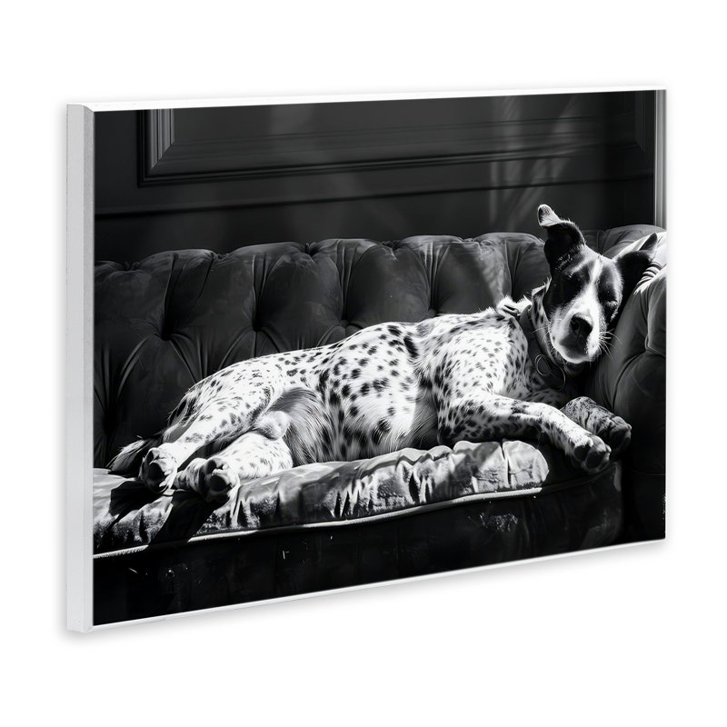 «Lounging Dog in Sun», art mural par LSR Creative Studio, H 10 po x l 15 po