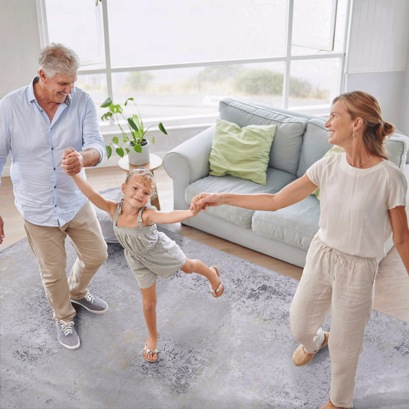 Washable Function Rug 5' X 8' Area Rug, Rectangle 8' x 5'