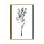 « herb » par albina bratcheva print-43718720-43718725