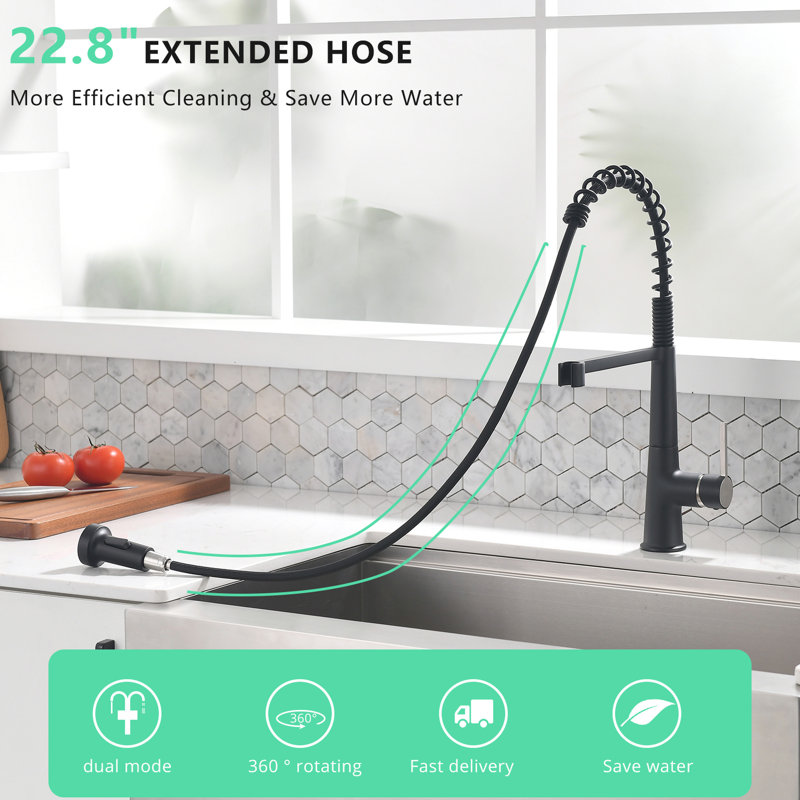 Robinet d'évier de cuisine avec robinet rétractable noir à poignée simple, surélevé