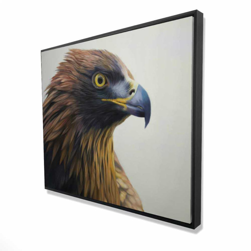 Toile encadrée avec un aigle à tête brune | Oiseaux, décoration intérieure