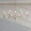 Emilea 12 - Light Chandelier-21589813