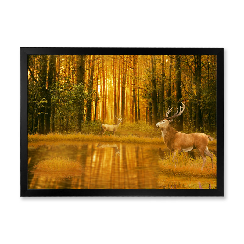 Deer Bucks In Summer Sunset - Décoration murale traditionnelle sur toile, Cadre photo noir, H 8 po x l 12 po x P 1 po