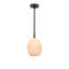 Artemis Pendant Single (Oil Rubbed Bronze with Champagne Glass)-463491456-463491457