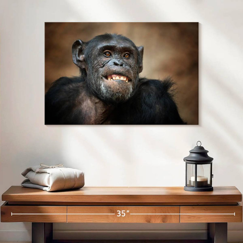 Crowle Funny Chimpanzee