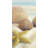 Starfish and Seashells Beach Canvas | Beige Coastal Decor