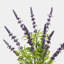 Lavender Faux Floral