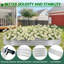 Raised Garden Bed