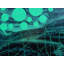 NEON BUBBLES Print by Will Birdwell-65852852-65827966