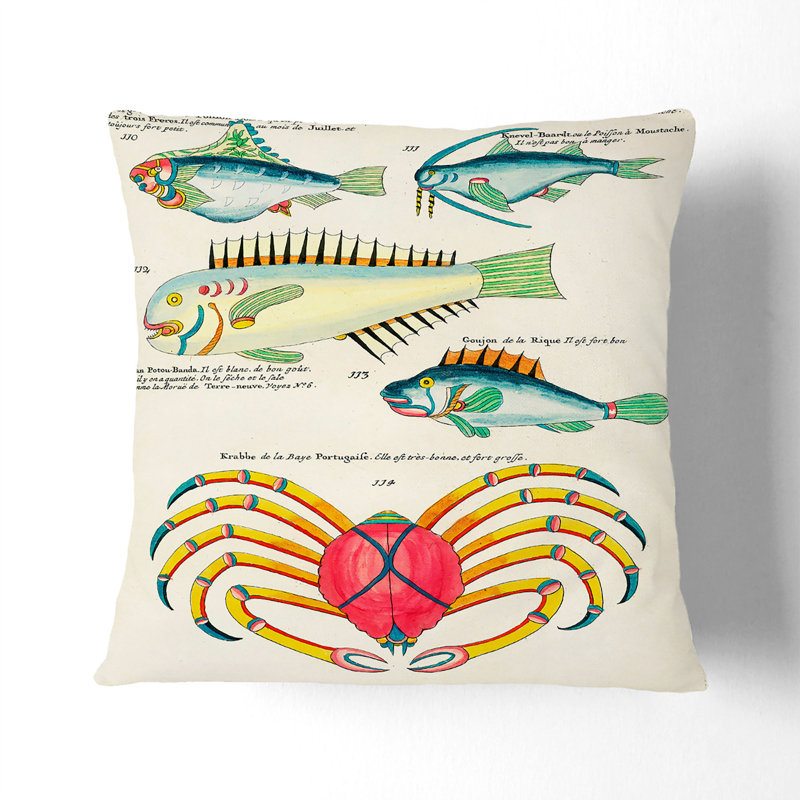 East Indies Fish & Crab Illustrations XXIII Square Throw Cushion, 55cm H x 55cm W x 20cm D, White