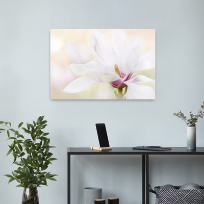 Art contemporain fleur de magnolia