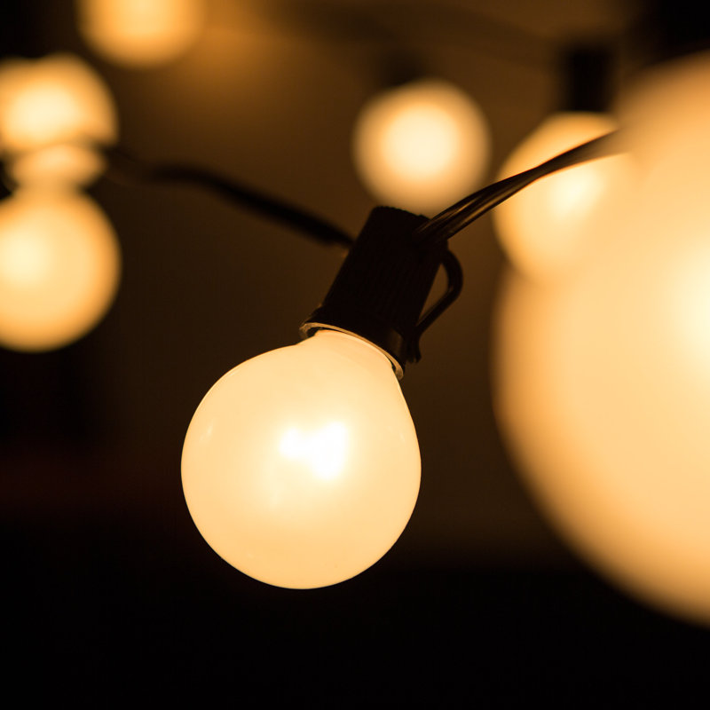 Conness Outdoor 50 - Bulb 50'' Plug-in Globe String Light, Black