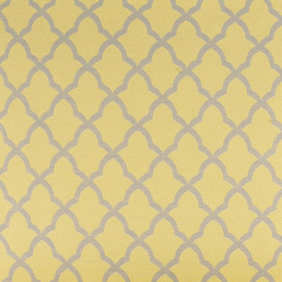 Pacato Fabric