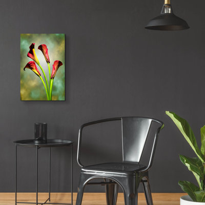 "Fleurs rouges" par Mark Ashkenazi