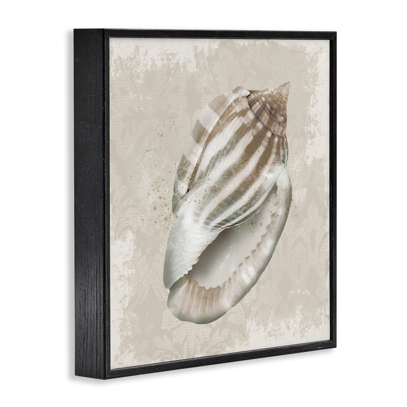 Conch Shell sur giclée encadrée de motifs rétro, design par Conrad Knutsen, Giclée encadrée noir minuit, H 12 po x l 12 po