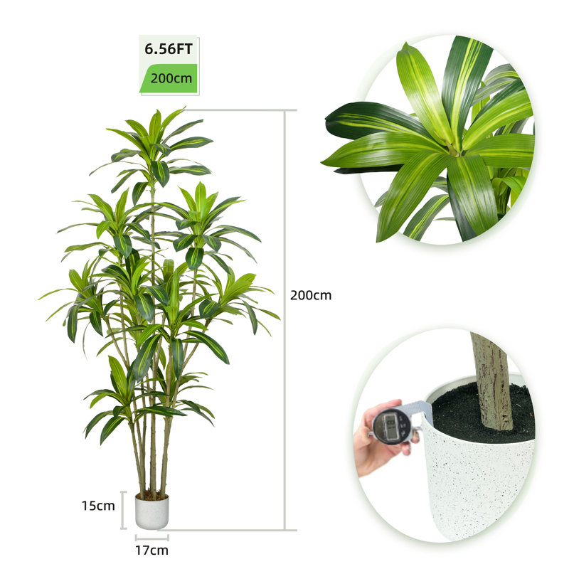Anjely Faux Agave Plant, 200cm H  x 30cm W  x 30cm D