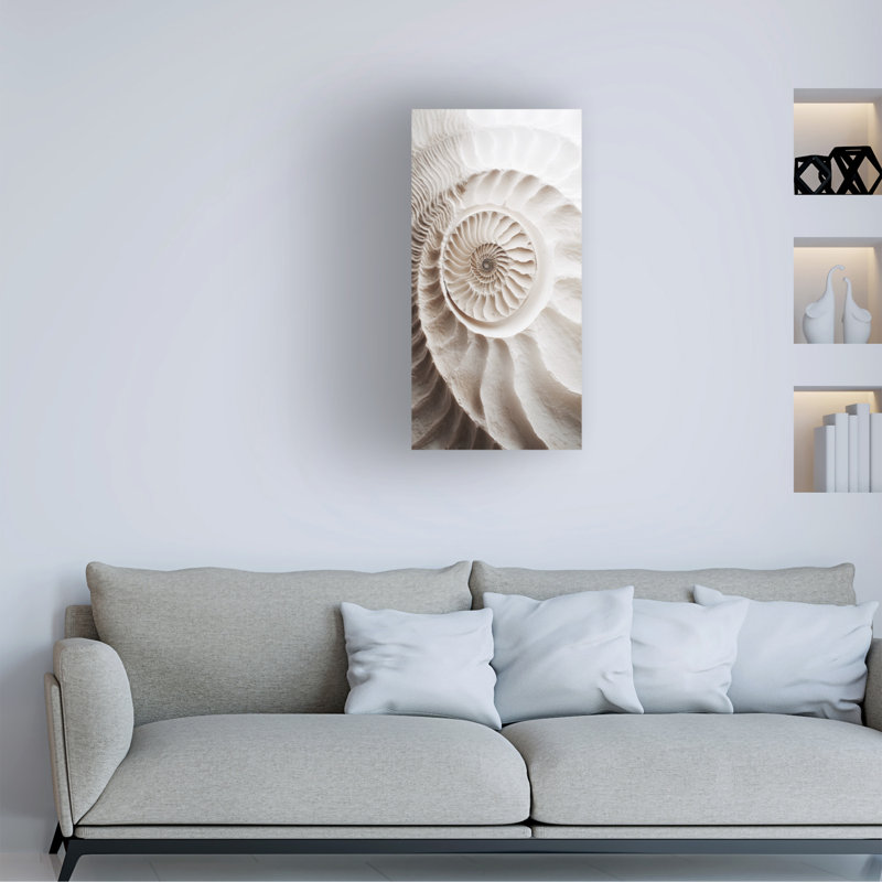 «Murcia Ammonite», impression sur toile, H 10 po x l 19 po x P 2 po