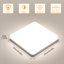 Darrant Acrylic LED Flush Mount